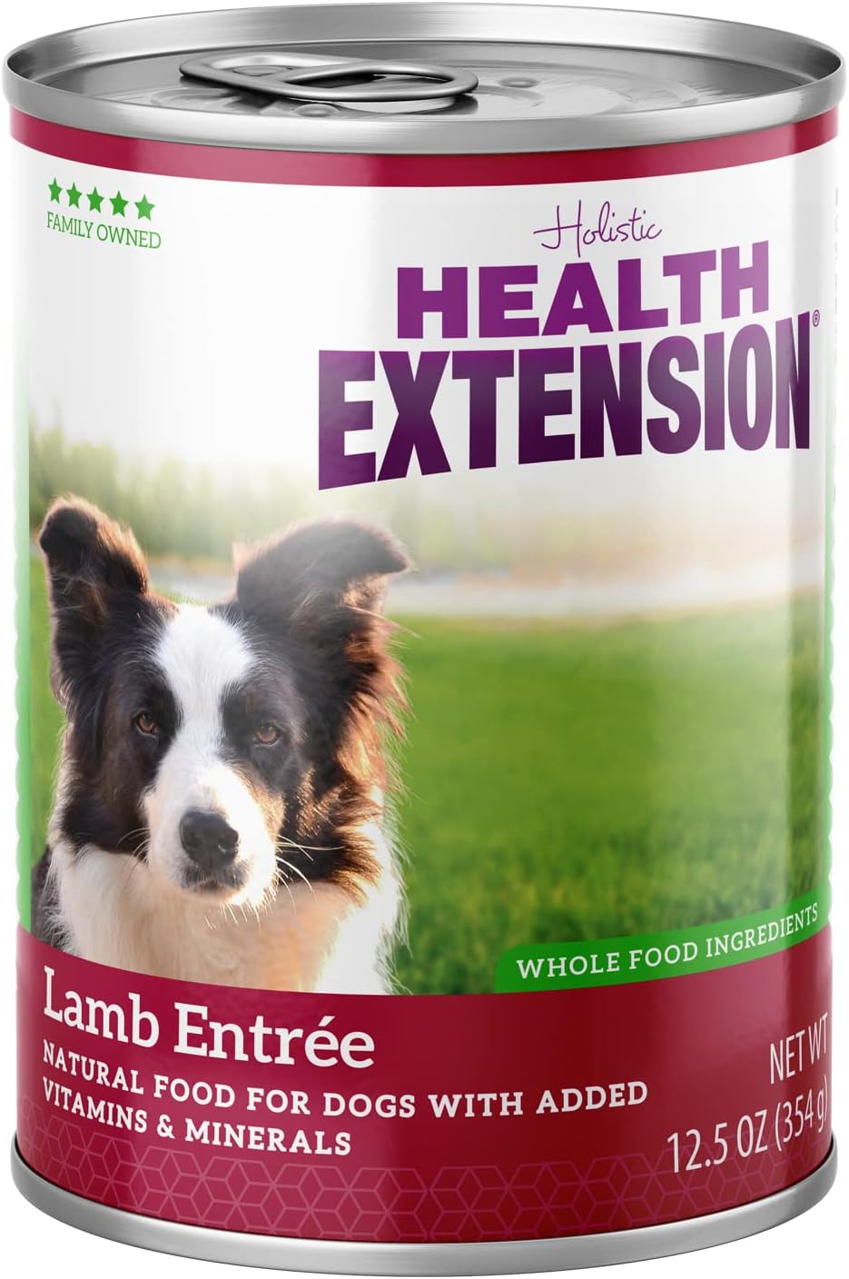 Health Extension