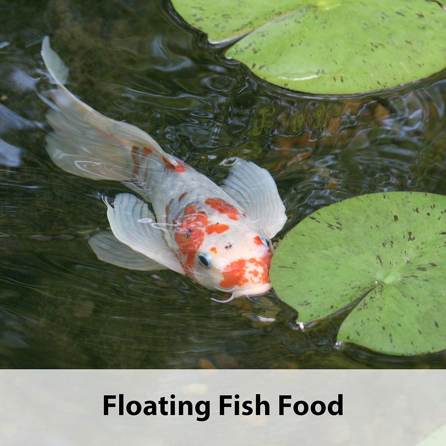 https://www.basketryplace.shop/products/kaytee-kois-choice-koi-floating-fish-food-10-pound - top-secret-recipes.myshopify.com