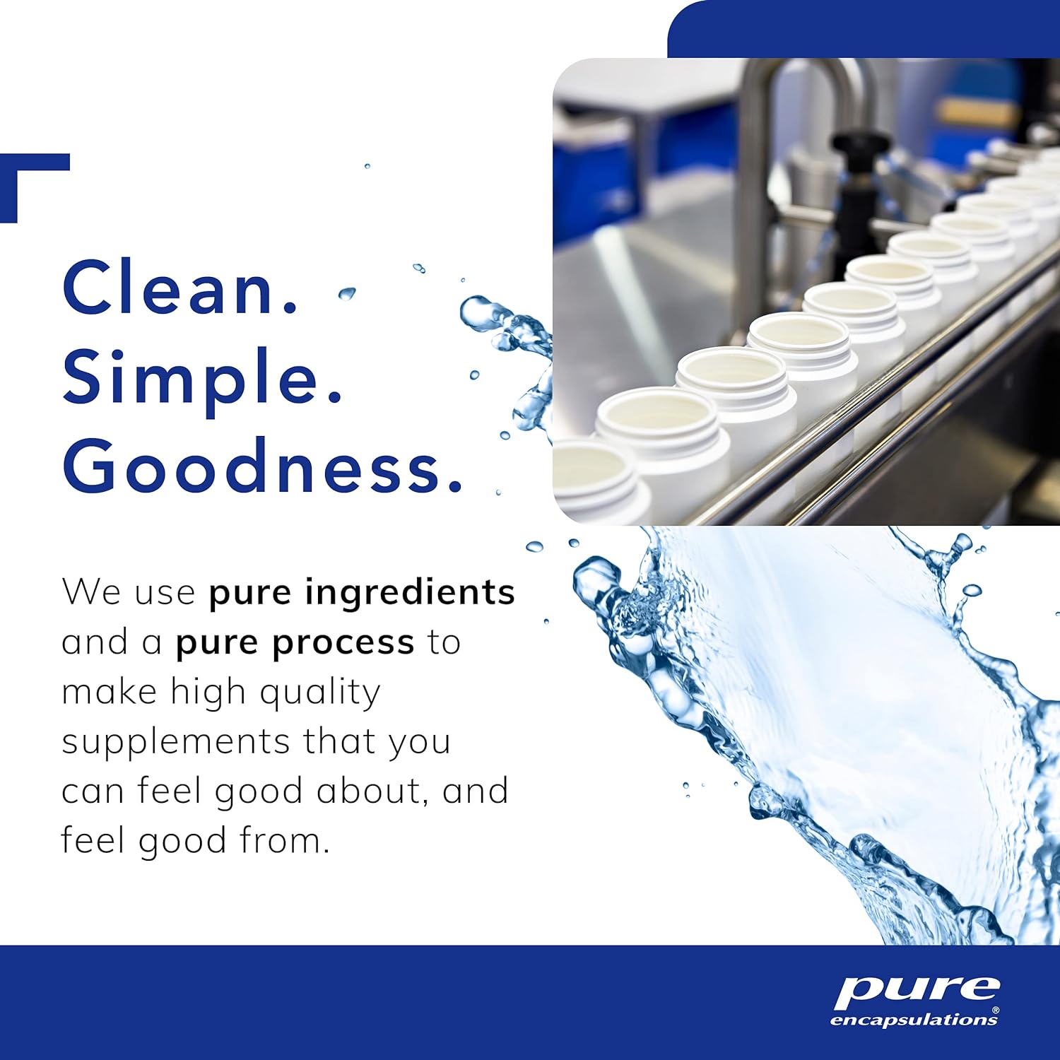 Pure Encapsulations