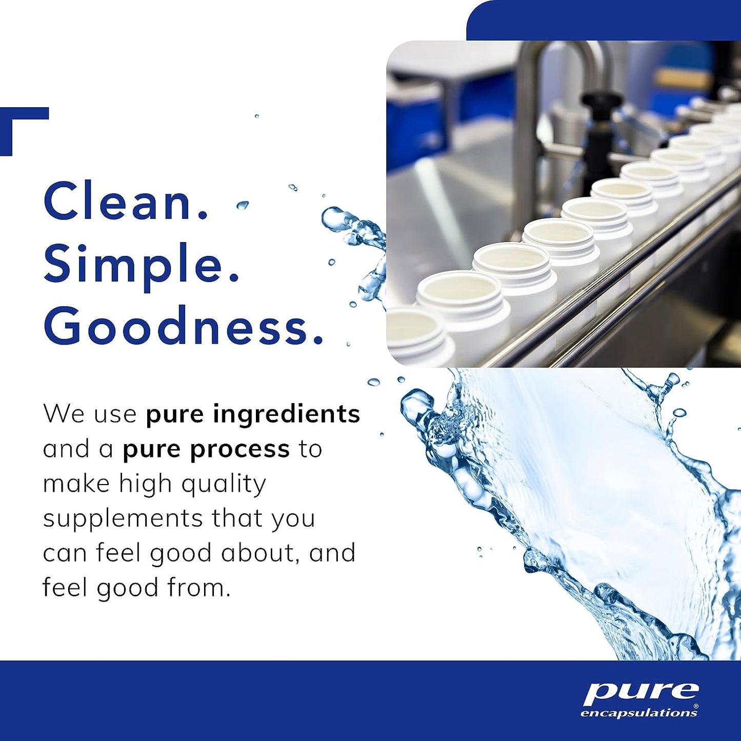 Pure Encapsulations