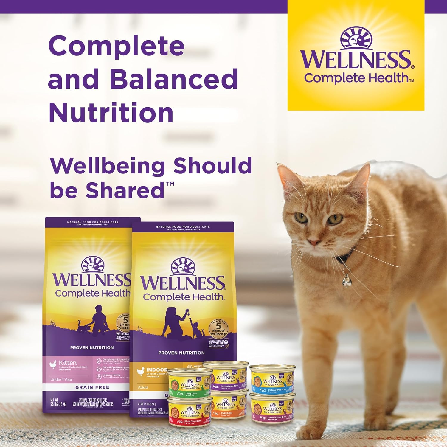 https://www.basketryplace.shop/products/wellness-complete-health-grain-free-wet-canned-cat-food-natural-ingredients-made-with-real-meat-all-breeds-smooth-pate-turkey-salmon-5-5-ounce-can-pack-of-24 - https://www.basketryplace.shop/