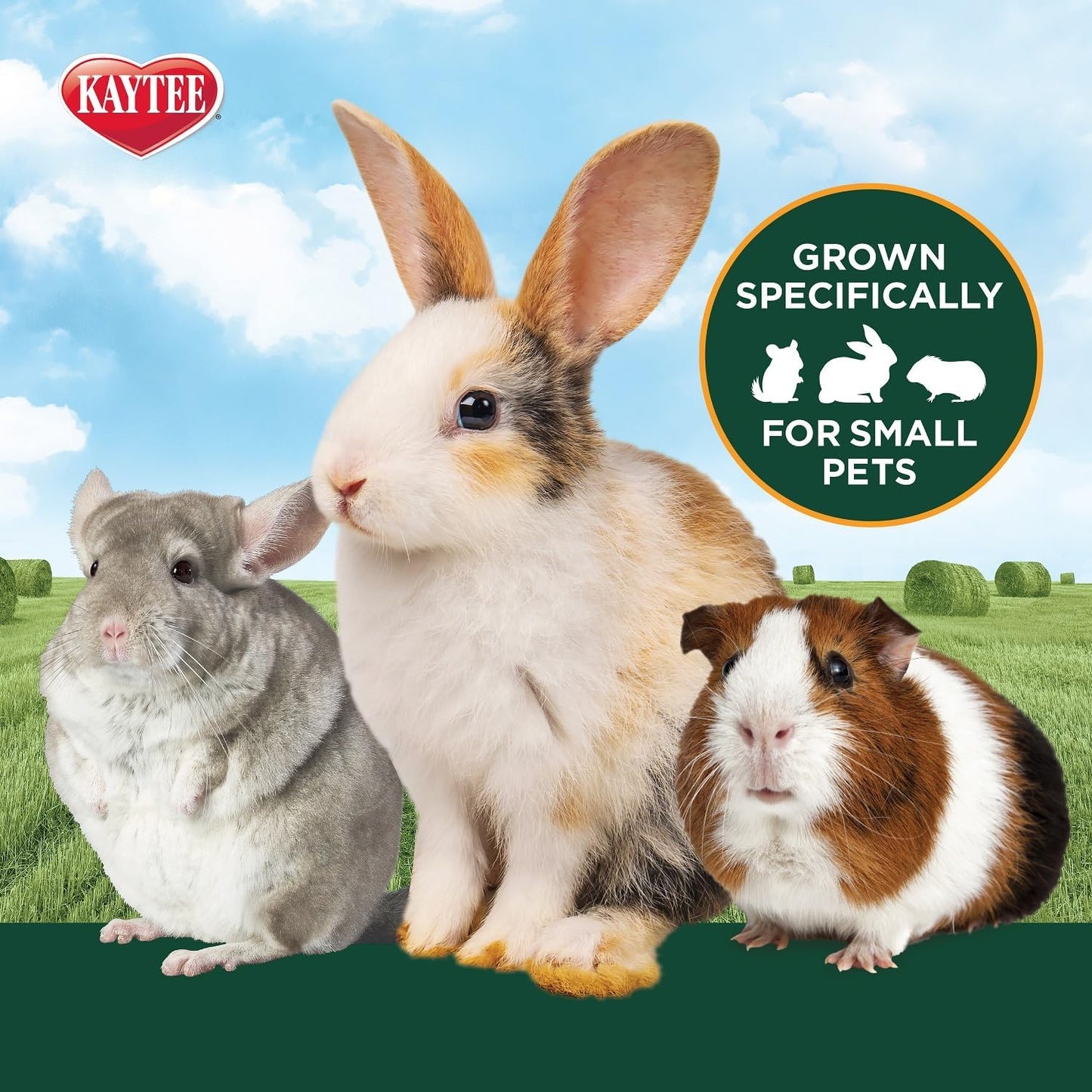 https://www.basketryplace.shop/products/kaytee-all-natural-timothy-hay-for-guinea-pigs-rabbits-other-small-animals-12-pound - https://www.basketryplace.shop/