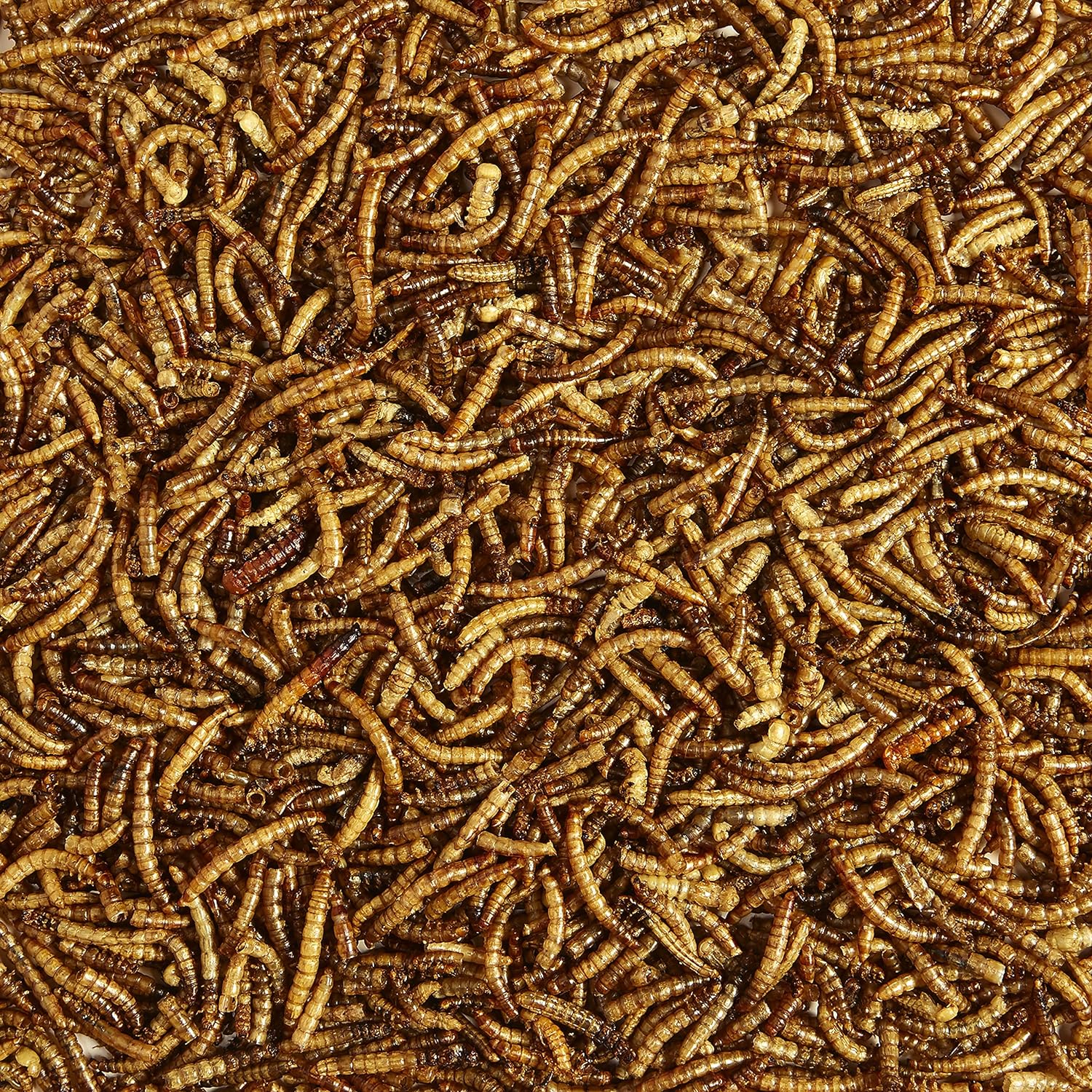 https://www.basketryplace.shop/products/kaytee-wild-bird-food-mealworms-for-bluebirds-wrens-robins-chickadees-woodpeckers-cardinals-chickens-2-pound - top-secret-recipes.myshopify.com